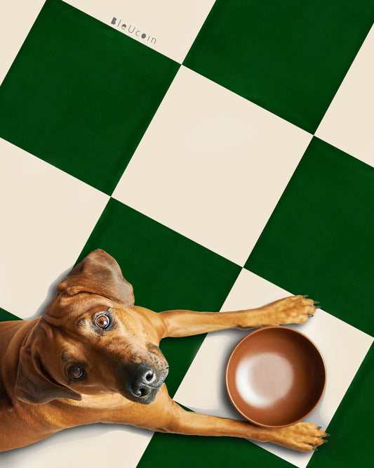 Moss Green & off White Checker Anti Slip Flooring